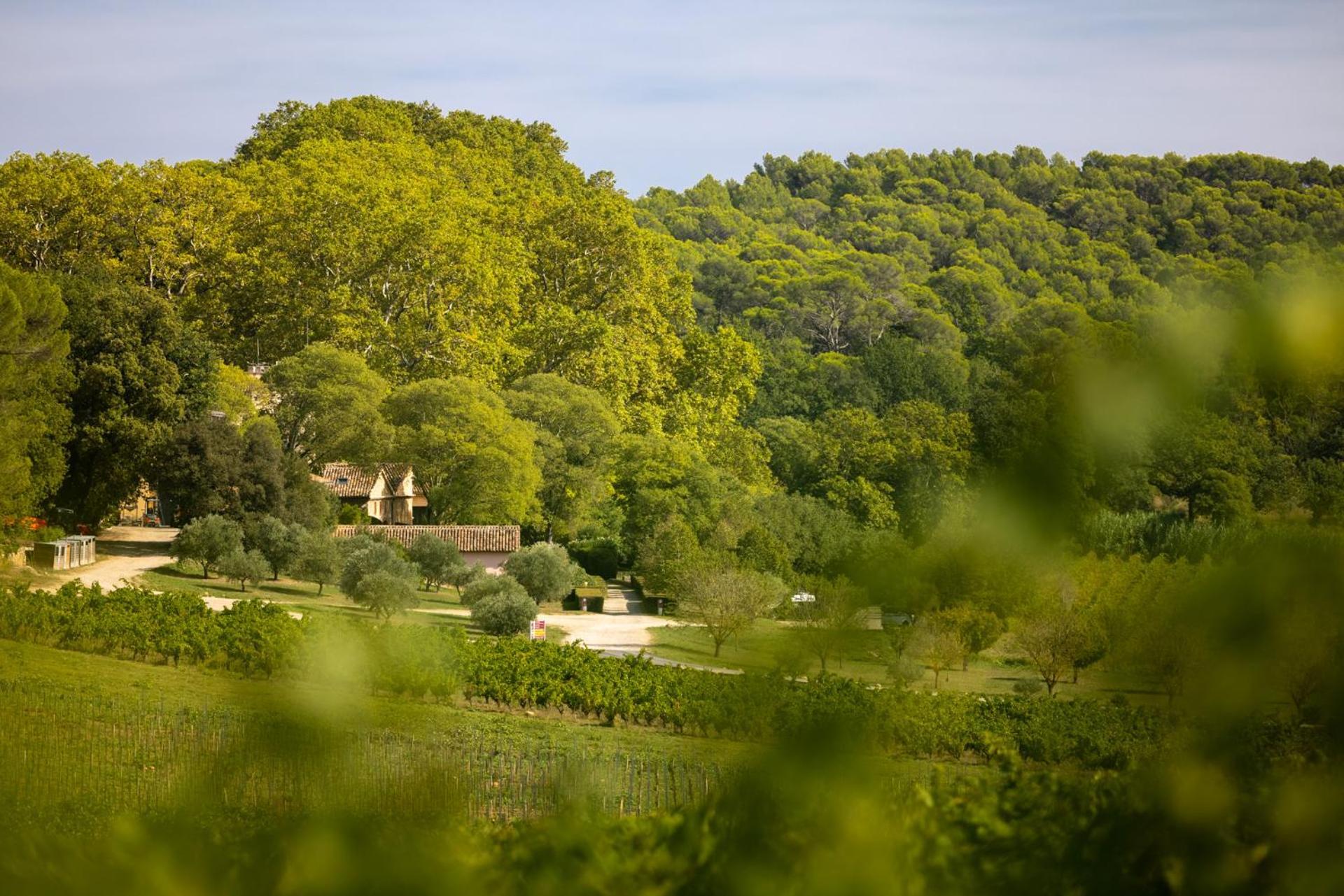 Chateau Mentone Masseboeuf Εξωτερικό φωτογραφία