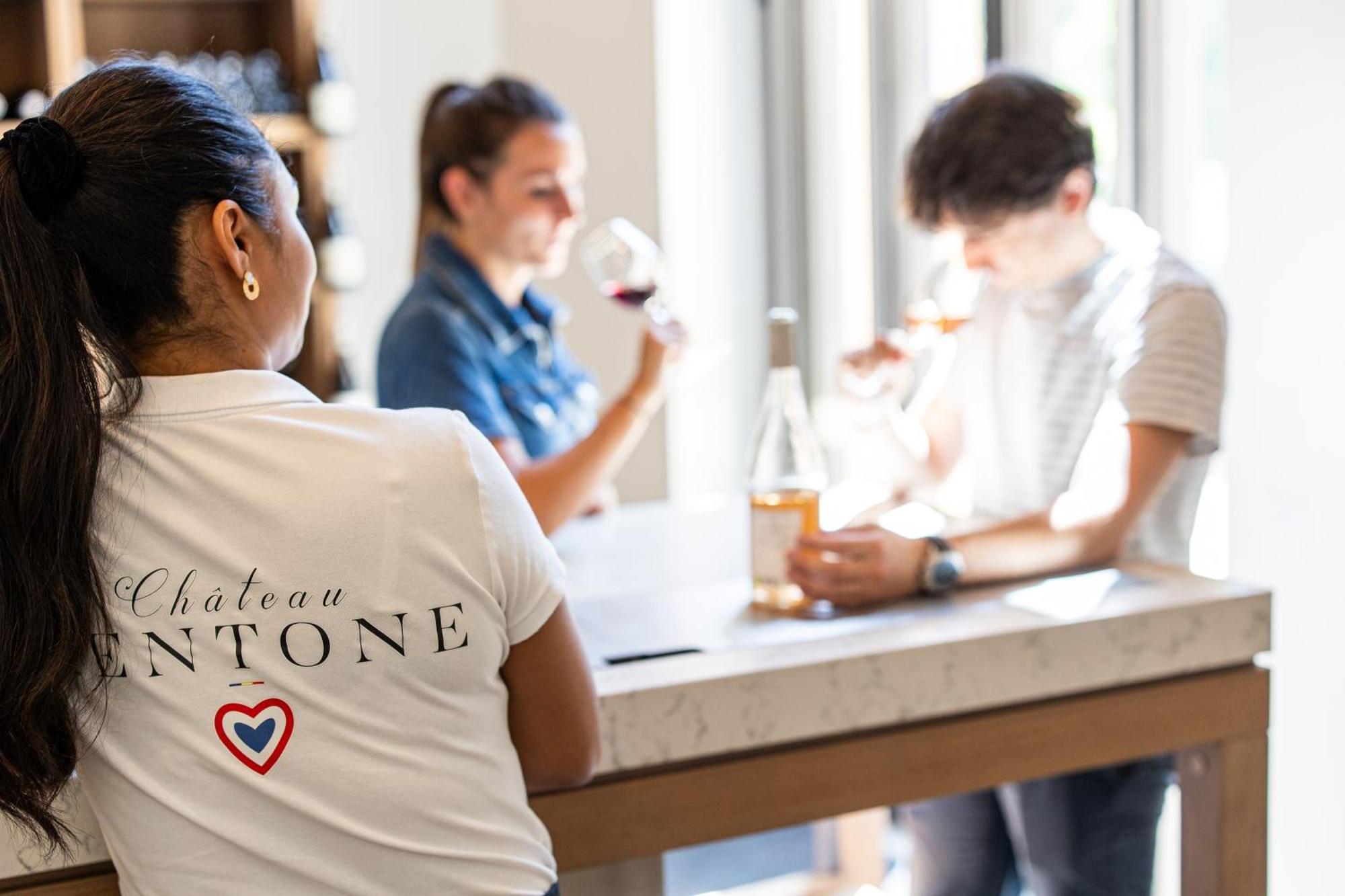Chateau Mentone Masseboeuf Εξωτερικό φωτογραφία