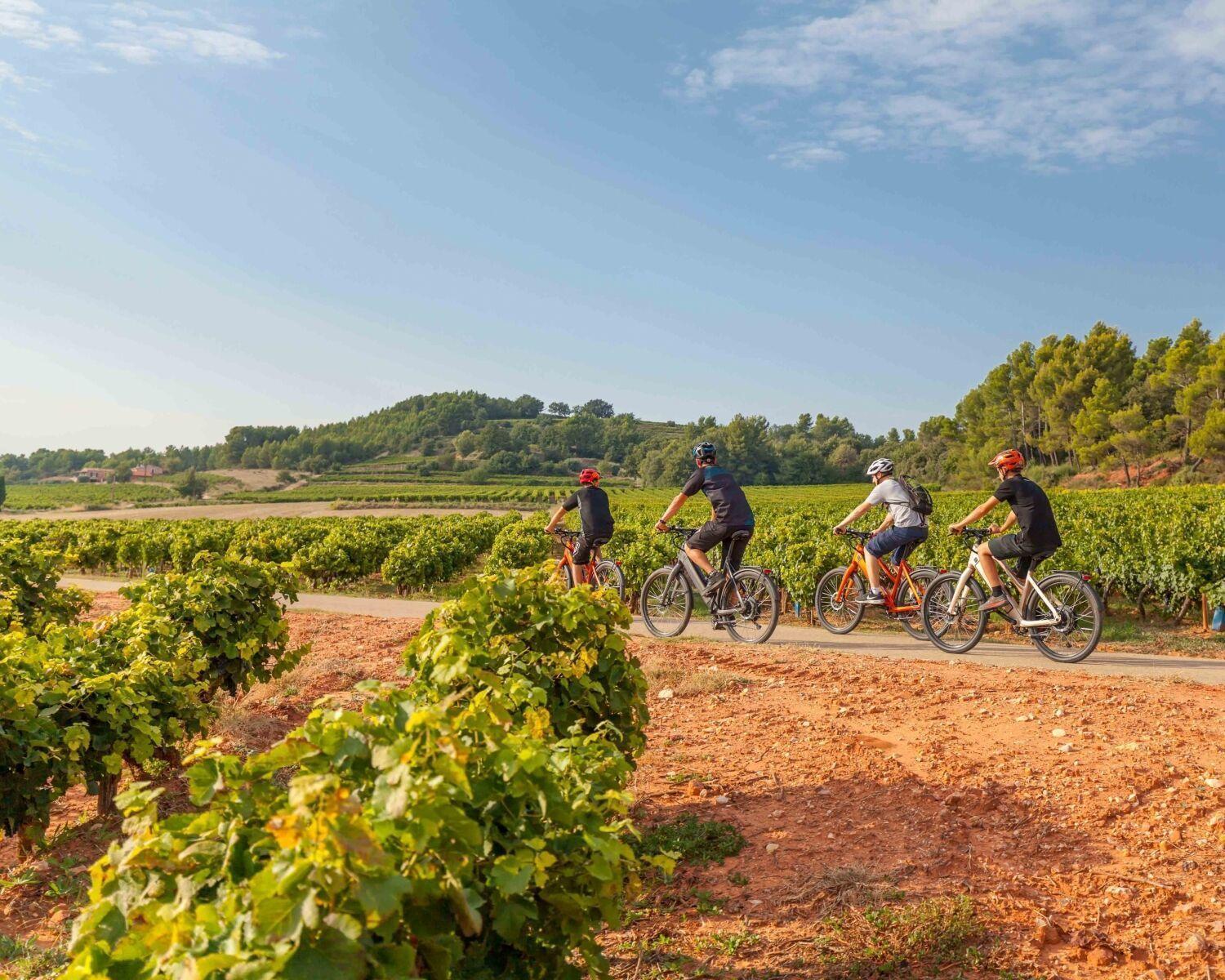 Chateau Mentone Masseboeuf Εξωτερικό φωτογραφία