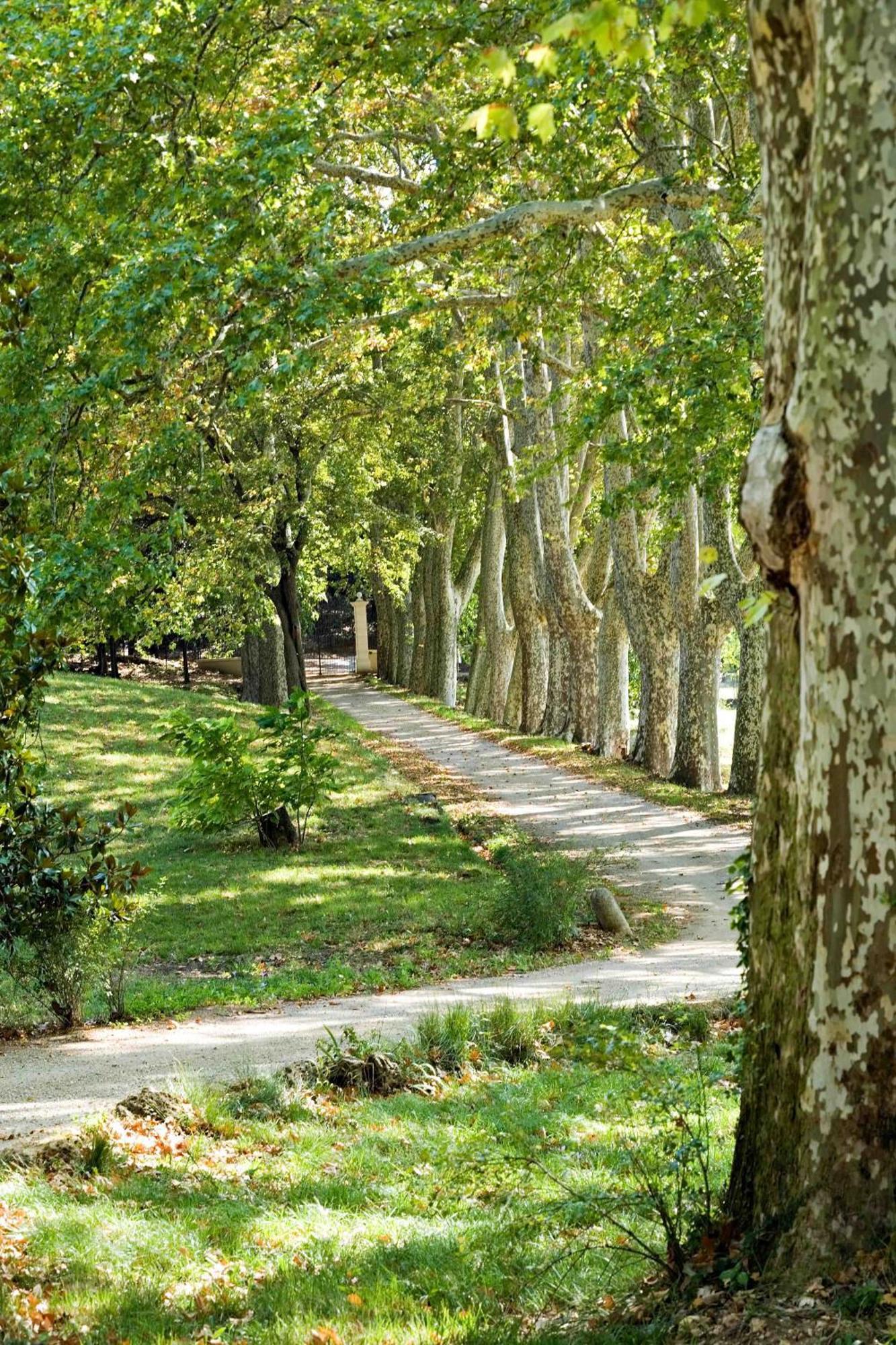Chateau Mentone Masseboeuf Εξωτερικό φωτογραφία